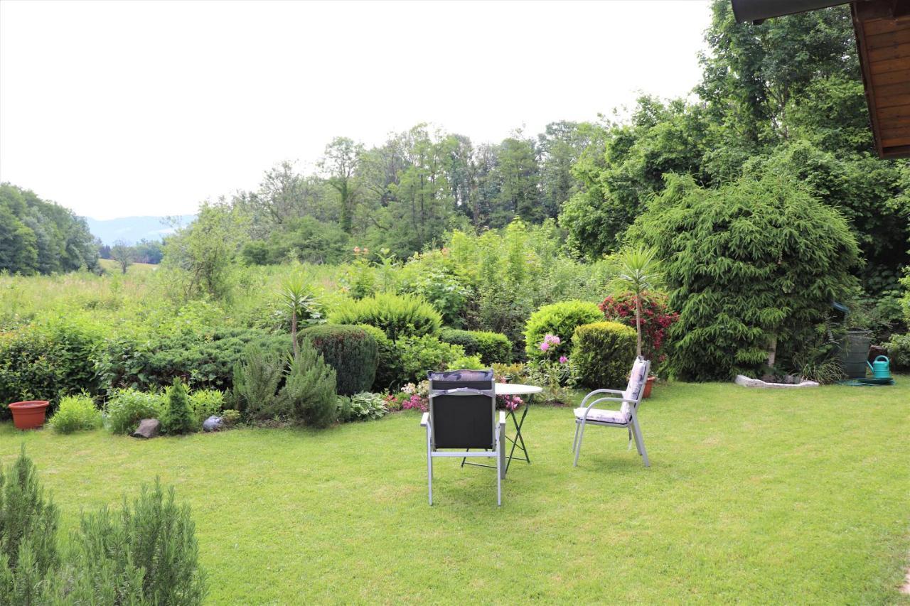 Ferienwohnung #4 Mit Terrasse In Zentraler Dennoch Ruhiger Lage - Stadtbus Vor Der Tuer! Lindau  Bagian luar foto